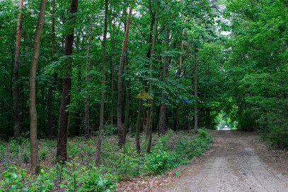 Plot Sale Warszawa Wawer