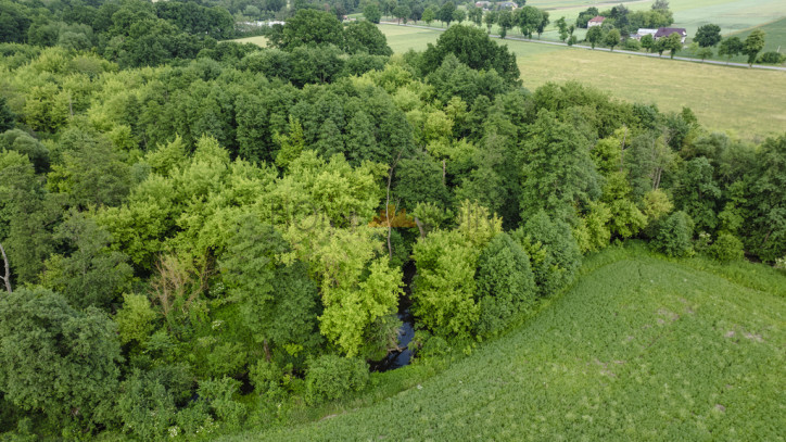 Plot Sale Stara Wrona 3